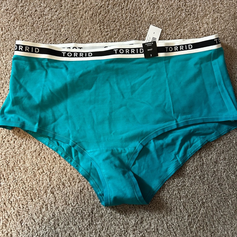 Torrid Teal Briefs Size 2